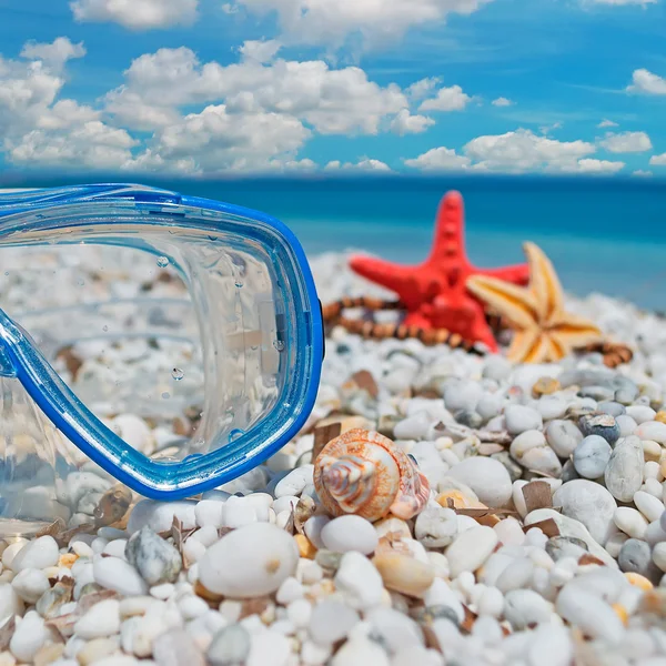 Máscara de buceo y concha — Foto de Stock