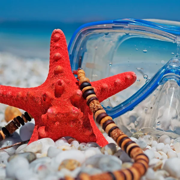 Seastar and mask on pebbles — Stock Photo, Image