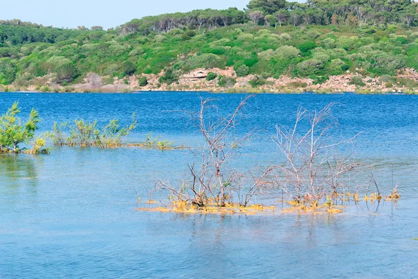 Lago di Baratz dettaglio — Foto Stock