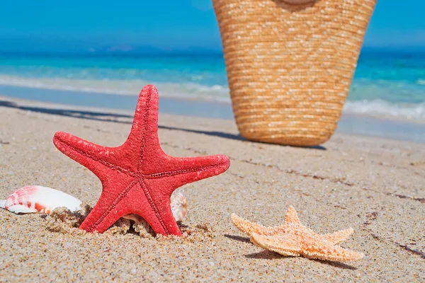 Seastar and bag — Stock Photo, Image