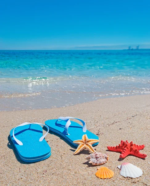 Conchas, estrellas de mar y chanclas — Foto de Stock