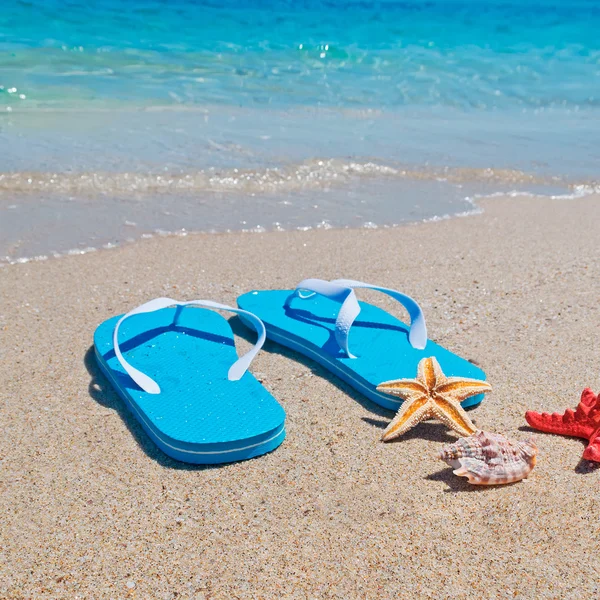 Concha, estrellas de mar y chanclas — Foto de Stock