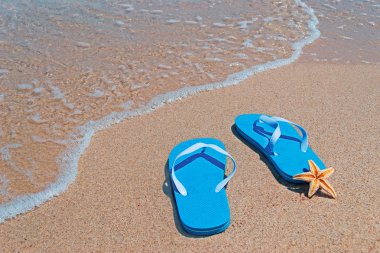 Deniz yıldızı ve parmak arası terlik