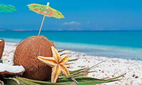 Parasoll i en kokosnöt — Stockfoto