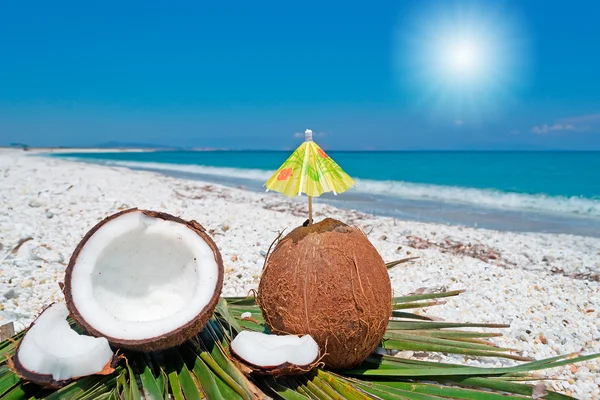Sommardag med kokosnötter — Stockfoto