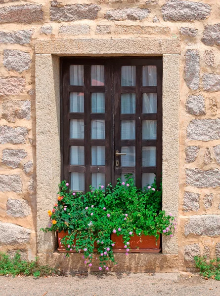 Květiny a okno — Stock fotografie