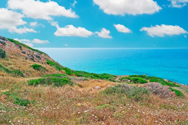 Sardinië kustlijn — Stockfoto