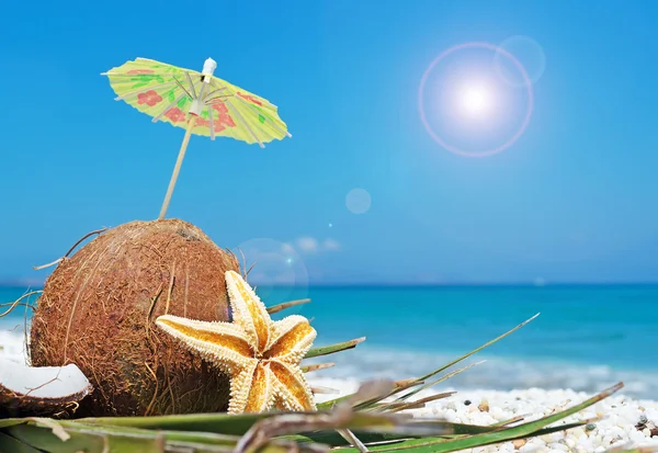 Kokosnoot en paraplu — Stockfoto