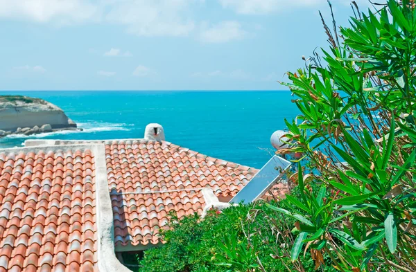 Adelfa junto al mar — Foto de Stock