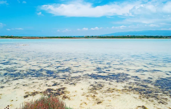 Jezero a mraky — Stock fotografie