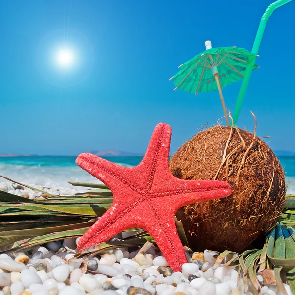 Coconut, pebbles and lens flare — Stock Photo, Image