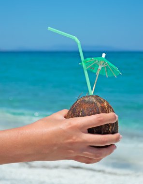 Hindistan cevizi içecek