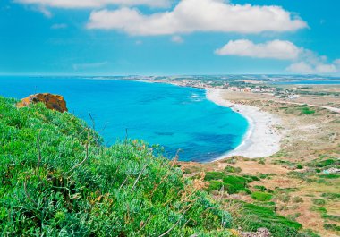 Beyaz bulutların üzerinde Sardunya