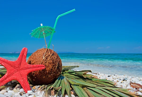 Морская звезда и кокос — стоковое фото