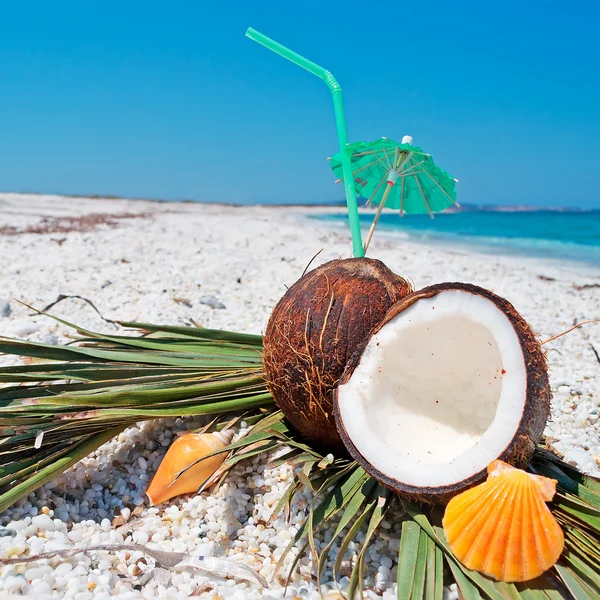 Eierschalen, stro en kokosnoten — Stockfoto