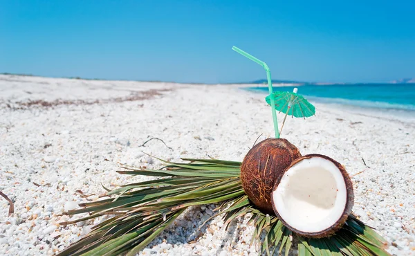 Noix de coco avec parapluie — Photo