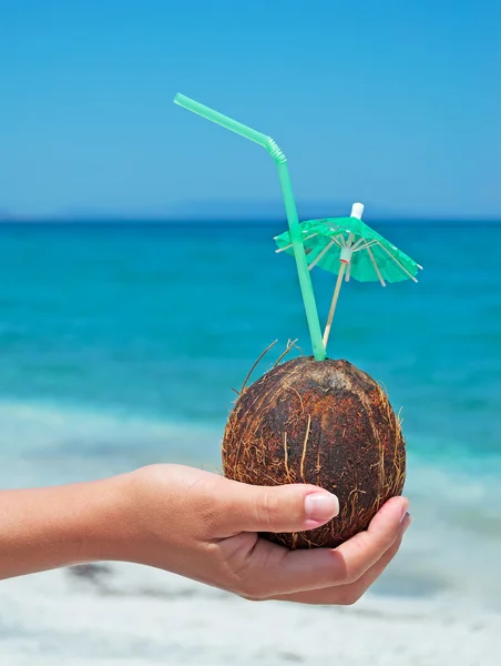 Hand med kokos — Stockfoto