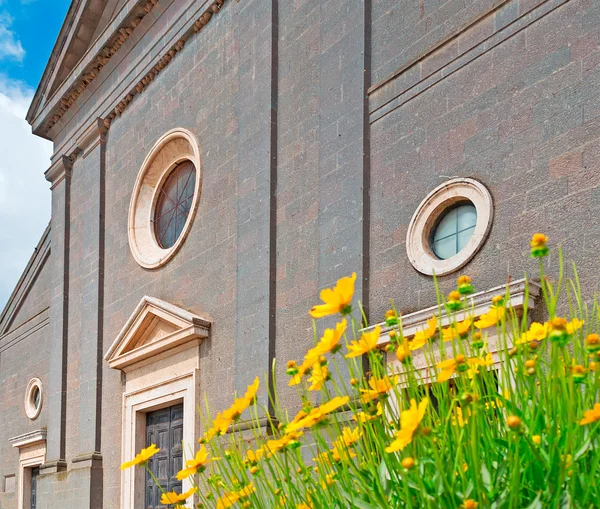 Yellow flowers and church — Stock Photo, Image