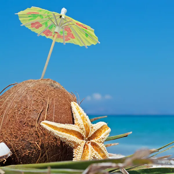 椰子在阳伞下 — 图库照片