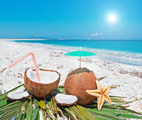 Summer with coconuts — Stock Photo, Image