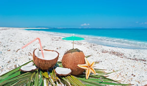 Summer with coconuts — Stock Photo, Image