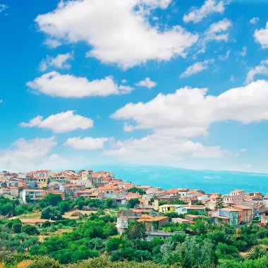 Sardunyalı küçük bir kasaba