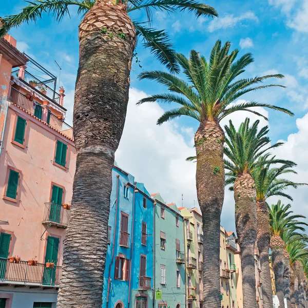 Palm trees and old buildings in Bosa — Stock Photo, Image