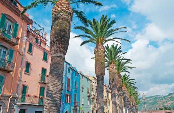 Palmiers et vieux bâtiments à Bosa — Photo