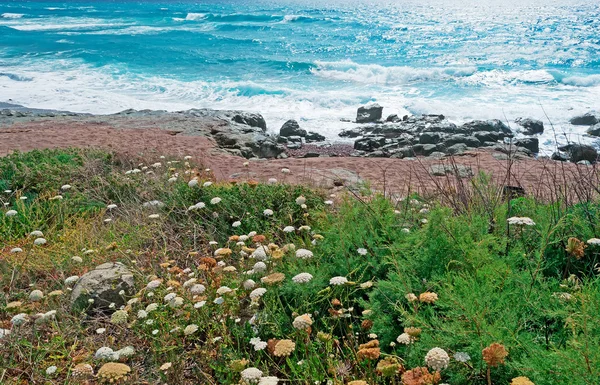 Vagues en Bosa — Photo