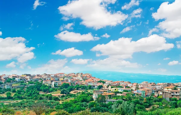 Sardunyalı küçük bir kasaba — Stok fotoğraf