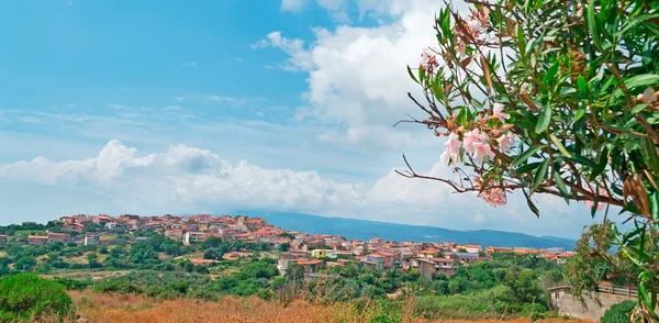 Küçük kasaba. — Stok fotoğraf