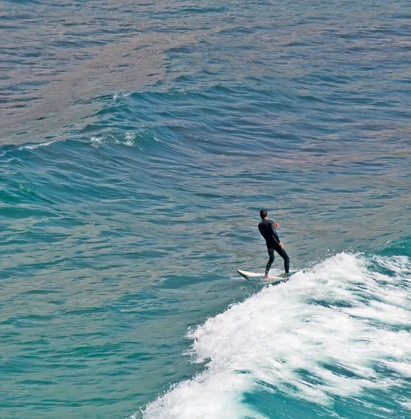 Lone surfer — стокове фото