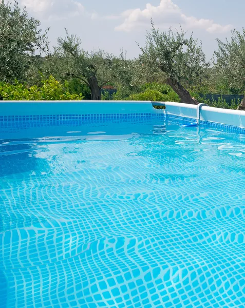 Vegetación y piscina —  Fotos de Stock