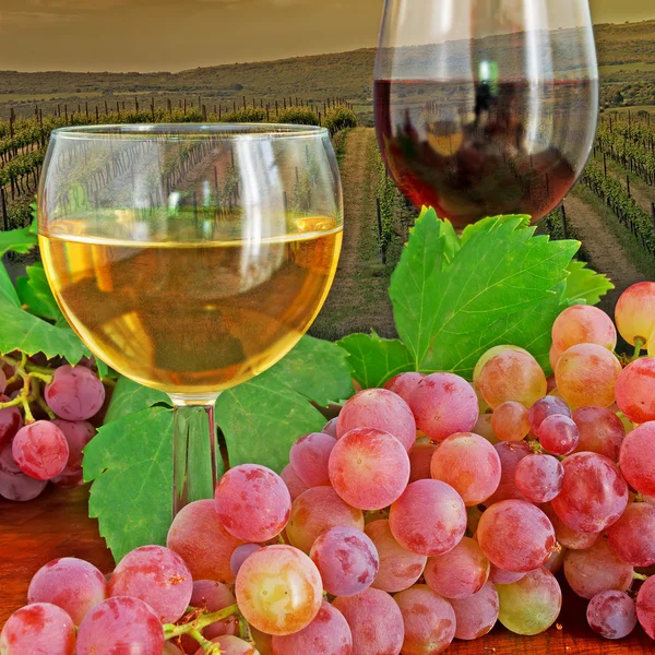 Glasses and grape by a vineyard — Stock Photo, Image