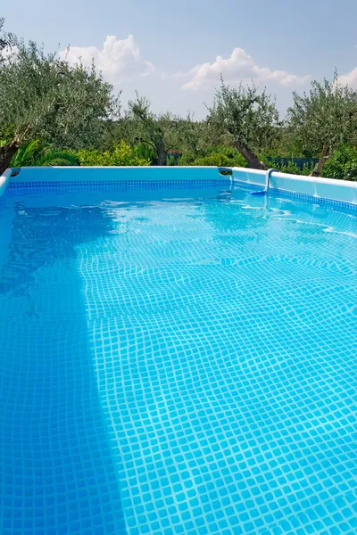 Piscina y plantas —  Fotos de Stock