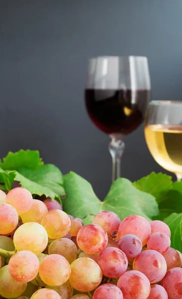 Bunch of grape close up — Stock Photo, Image
