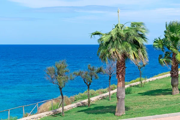 Palms and sea — Stock Photo, Image