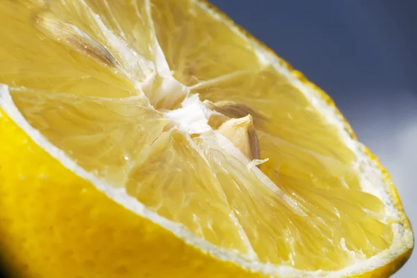 Lemon seed — Stock Photo, Image