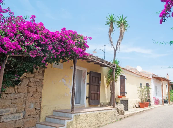 Blumen vor dem Haus — Stockfoto