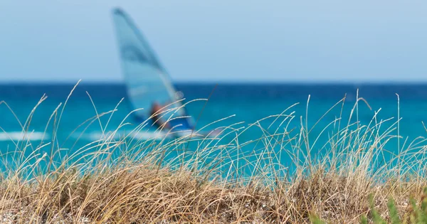 Sörf ve kuru ot — Stok fotoğraf