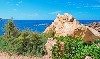 kayalar ve bitki örtüsü