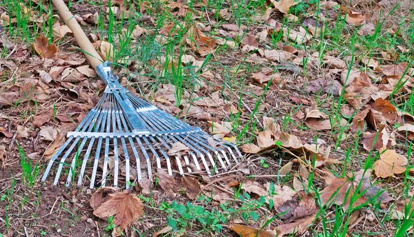 Rake on grass and leaves — Stock Photo, Image