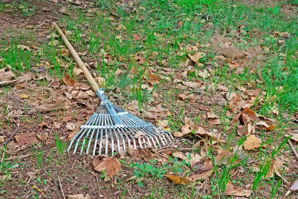 Rake on grass and leaves — Stock Photo, Image