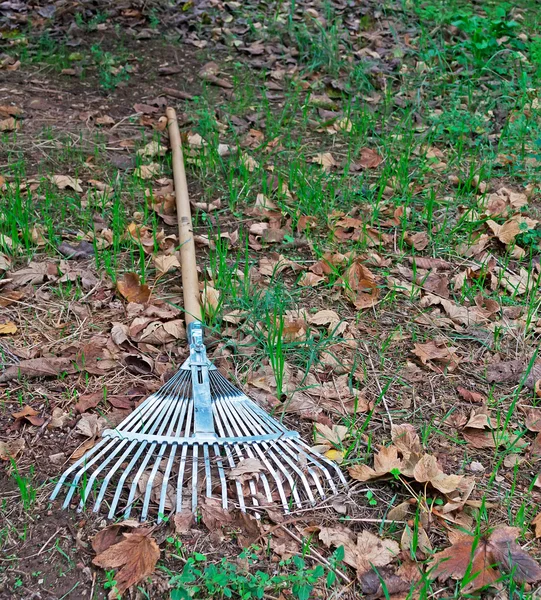 Rake on the ground — Stock Photo, Image