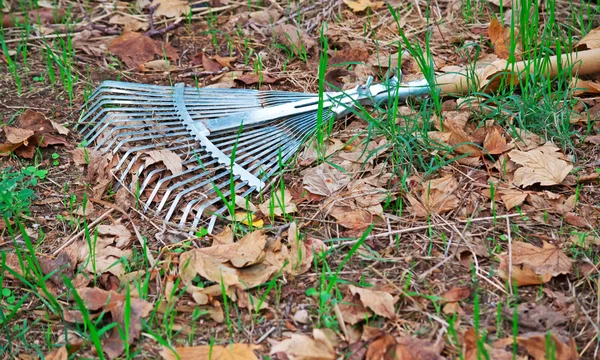 Metal rake — Stock Photo, Image