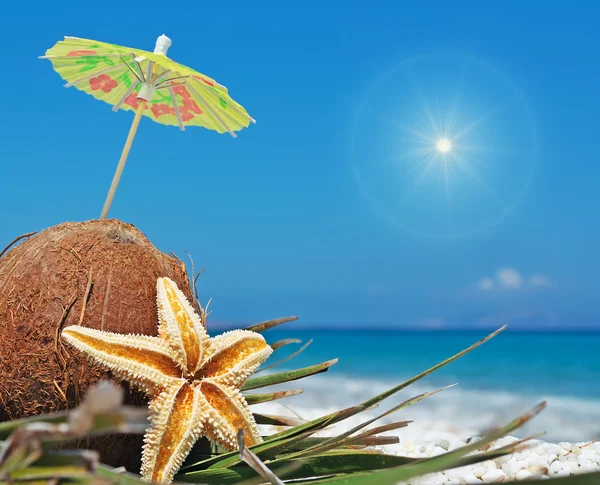 Sole e noci di cocco — Foto Stock