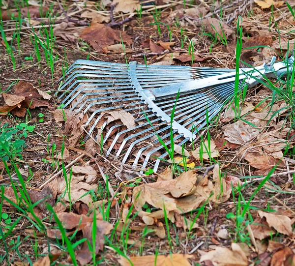 Metal rake — Stock Photo, Image