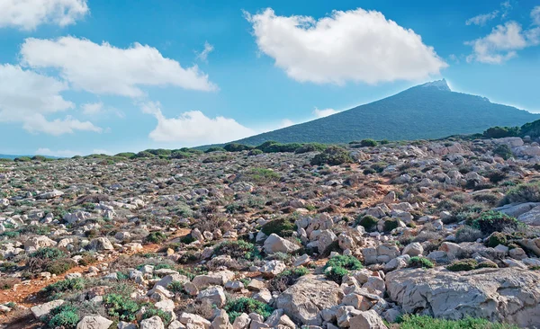 Capo Caccia rochas brancas — Fotografia de Stock