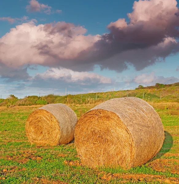 Fardos y nubes — Foto de Stock