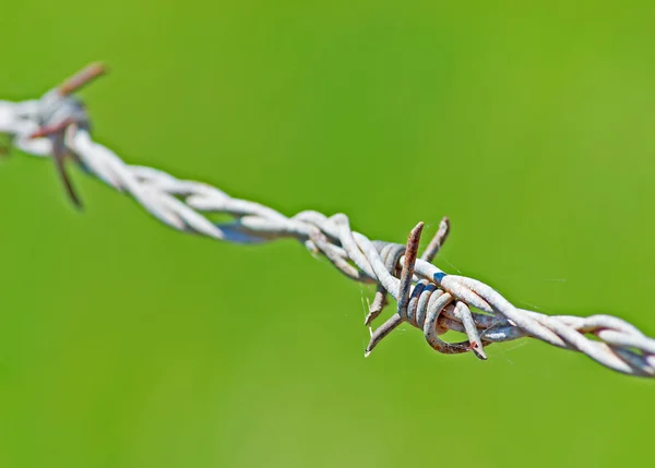 Stacheldraht auf Grün — Stockfoto